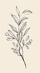 Obraz premium Abstract minimalistic Boho Bohemian elements design vector line art with a solid monochromatic background