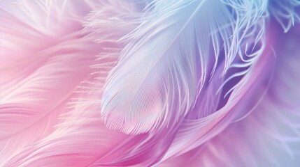 Obraz premium pastel colour feather abstract background, generative ai