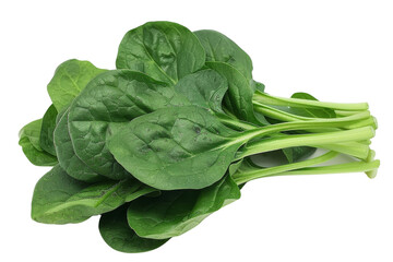 Fresh Green Spinach Leaves Isometric on white background