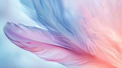 pastel colour feather abstract background, generative ai