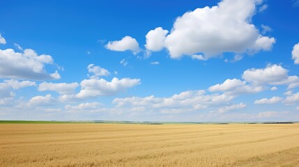 clear blue sky over field