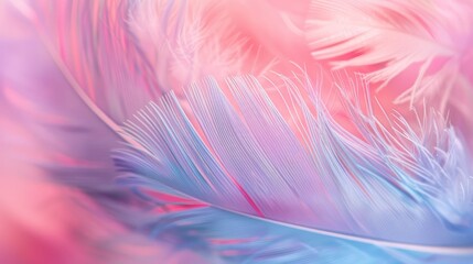 Fototapeta premium pastel colour feather abstract background, generative ai