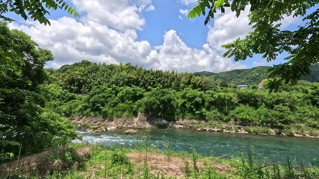 初夏の狩野川 中流