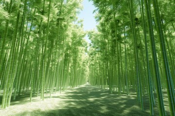 A long path through a lush green forest with tall bamboo trees