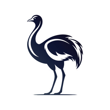 recommend clip art: Emu or Ostrich silhouettes, Emu or Ostrich bird silhouette, Simple emu silhouette farm, Emu vector illustration