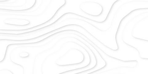Abstract paper carve template. abstract white and gray 3d papercut topography relief vector background illustration. topographic canyon geometric map relief texture with curved layers and shadow.