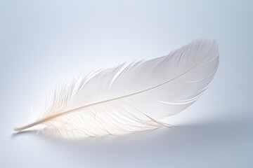 Obraz premium Close-up of a single white bird feather isolated on soft blue background.