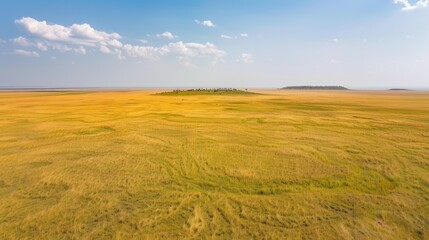 Obraz premium Vast Open Savanna 