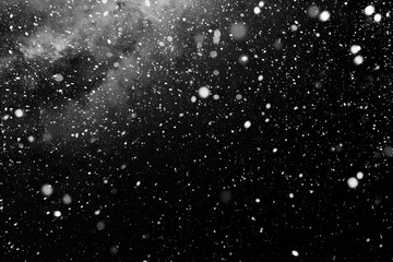 Obraz premium Snowfall in Black and White
