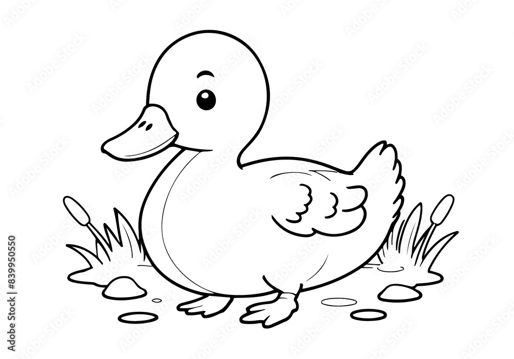 Wall mural coloring page of little duck for kids coloring book