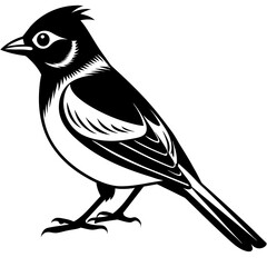 Bulbul bird sitting silhouette vector style illustration