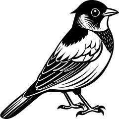 Bulbul bird sitting silhouette vector style illustration