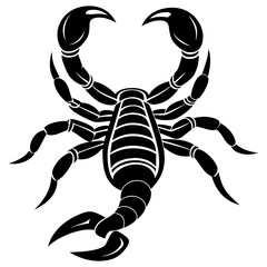 scorpion silhouette vector illustration svg