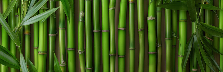 Fototapeta premium Close-up view of vibrant green bamboo stems creating a natural and serene background, perfect for eco-friendly and zen-themed projects.
