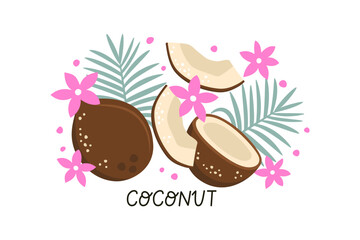 Hand drawn set of coconuts, palm leaves, tropical flowers.