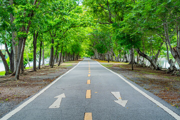 A beautiful road with trees on both sides, a bicycle path.