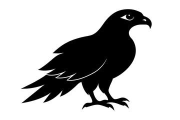 black crow silhouette vector illustration