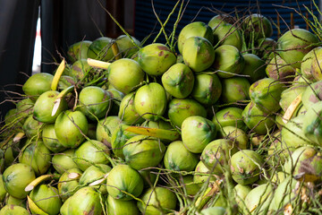Harvest of green coconut nuts as background