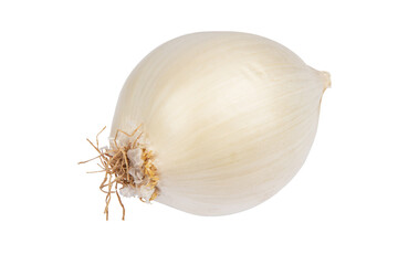 White onion bulb isolated on white background.