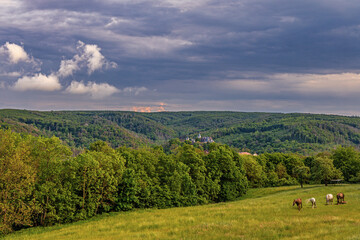 Blick zur Rammalburg Wippertal Harz