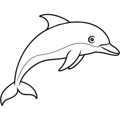 dolphin line art vector illustration.