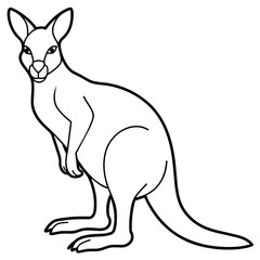 kangaroo line art vector illustration.