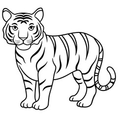 tiger line art vector illustration.