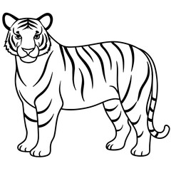 tiger line art vector illustration.