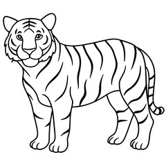 tiger line art vector illustration.