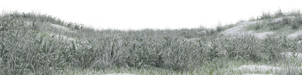 Plant and grass field with rock on snow ground in nature, Forest in winter on isolated transparent...