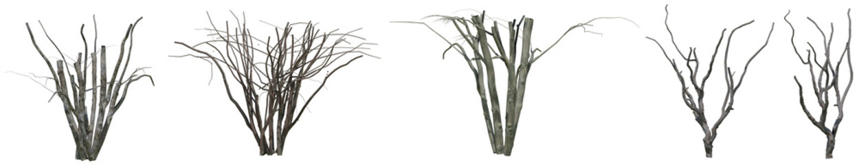 Set of Dead tree stump or Old tree trunk and branch with isolated on transparent background. PNG file, 3D rendering illustration, Clip art and cut out