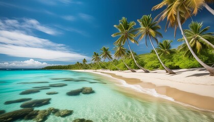 Fototapeta premium beach with palm trees