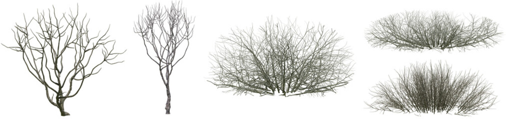 Obraz premium Set of Dead tree stump or Old tree trunk and branch with isolated on transparent background. PNG file, 3D rendering illustration, Clip art and cut out