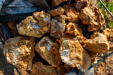 Beautiful stones collected in a basket for collection, rockhounding. The flints are covered with bright sintered chalcedony
