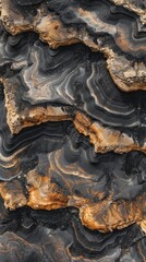 Obraz premium Aerial Photography of Black Sandstone in Desert