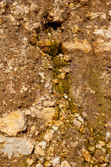 Water oozes from aquifers of limestone rocks, vertical view