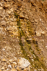 Water oozes from aquifers of limestone rocks, vertical view