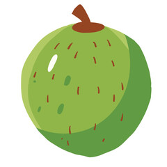 playfull illustration of fruit