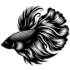 Betta fish flat design
