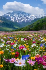 Fototapeta premium flower background