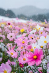 Obraz premium flower background