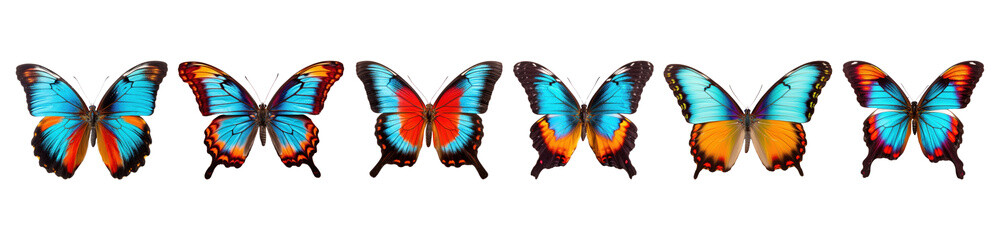 Obraz premium Butterfly png cut out element set