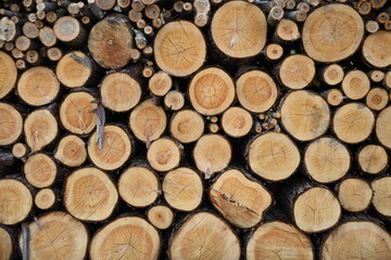 積み上げられた丸太