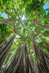 Obraz premium green forest