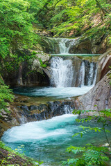 新緑の西沢渓谷七ツ釜五段の滝
