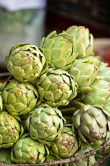 Fototapeta premium artichoke, camus de Bretagne 