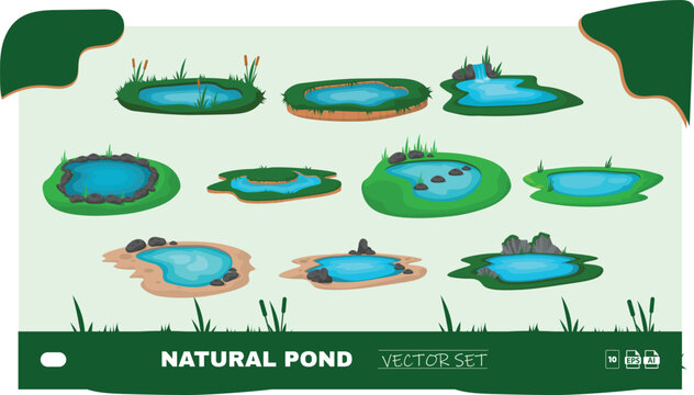 Natural Pond Vector Set