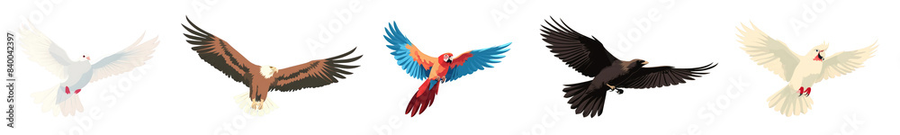 Poster Bird aesthetic illustration png element set on transparent background