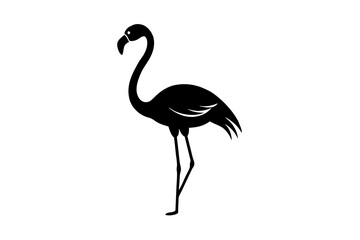Fototapeta premium flamingo silhouette vector illustration