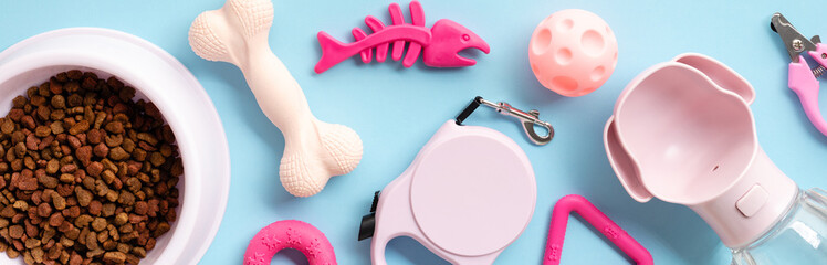 Pet supplies, featuring a bowl of dog food, assorted toys, and grooming tools, all neatly arranged on a vivid blue backdrop. Perfect for pet care themes